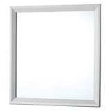 GLORY FURNITURE Primo Mirror in Silver Champagne