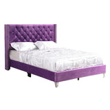Glory Furniture Julie Velvet Upholstered Queen Bed in Purple
