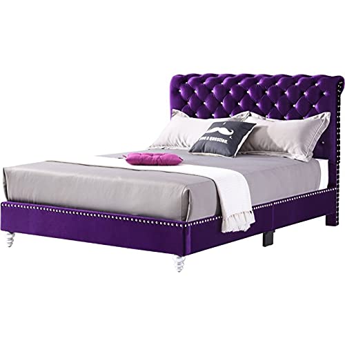 Glory Furniture Maxx Velvet Upholstered Full Bed in Purple