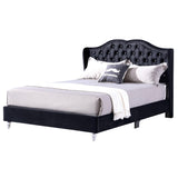 Glory Furniture Joy Velvet Upholstered Queen Bed in Black
