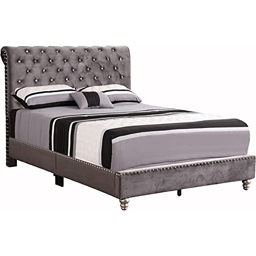 Glory Furniture Maxx Velvet Upholstered Full Bed in Gray