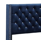 Glory Furniture Julie Velvet Upholstered Queen Bed in Navy Blue