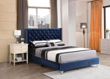 Glory Furniture Julie Velvet Upholstered Queen Bed in Navy Blue