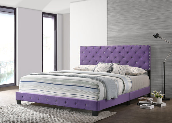 Glory Furniture Suffolk G1402-KB-UP King Bed , PURPLE