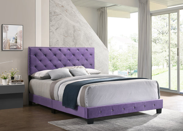 Glory Furniture Suffolk G1402-QB-UP Queen Bed , PURPLE