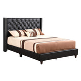 Glory Furniture Julie Velvet Upholstered Queen Bed in Black