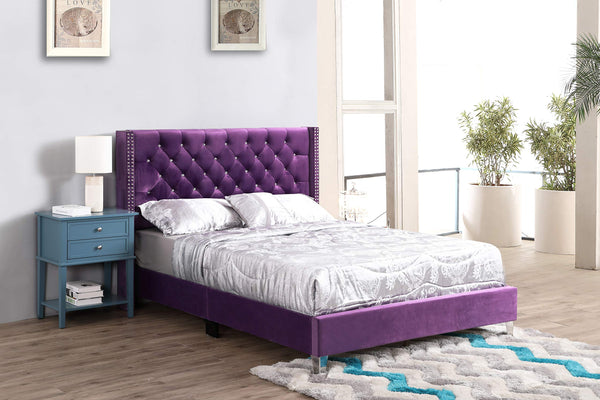 Glory Furniture Julie Velvet Upholstered Queen Bed in Purple