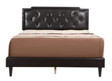 Glory Furniture 1116-QB-UP Bed - All In One Box Queen Cappuccino