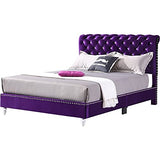 Glory Furniture Maxx Velvet Upholstered Queen Bed in Purple