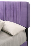 Glory Furniture Lodi , Purple QUEEN BED, 48"H X 65"W X 86"D,