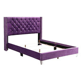 Glory Furniture Julie Velvet Upholstered Full Bed in Purple