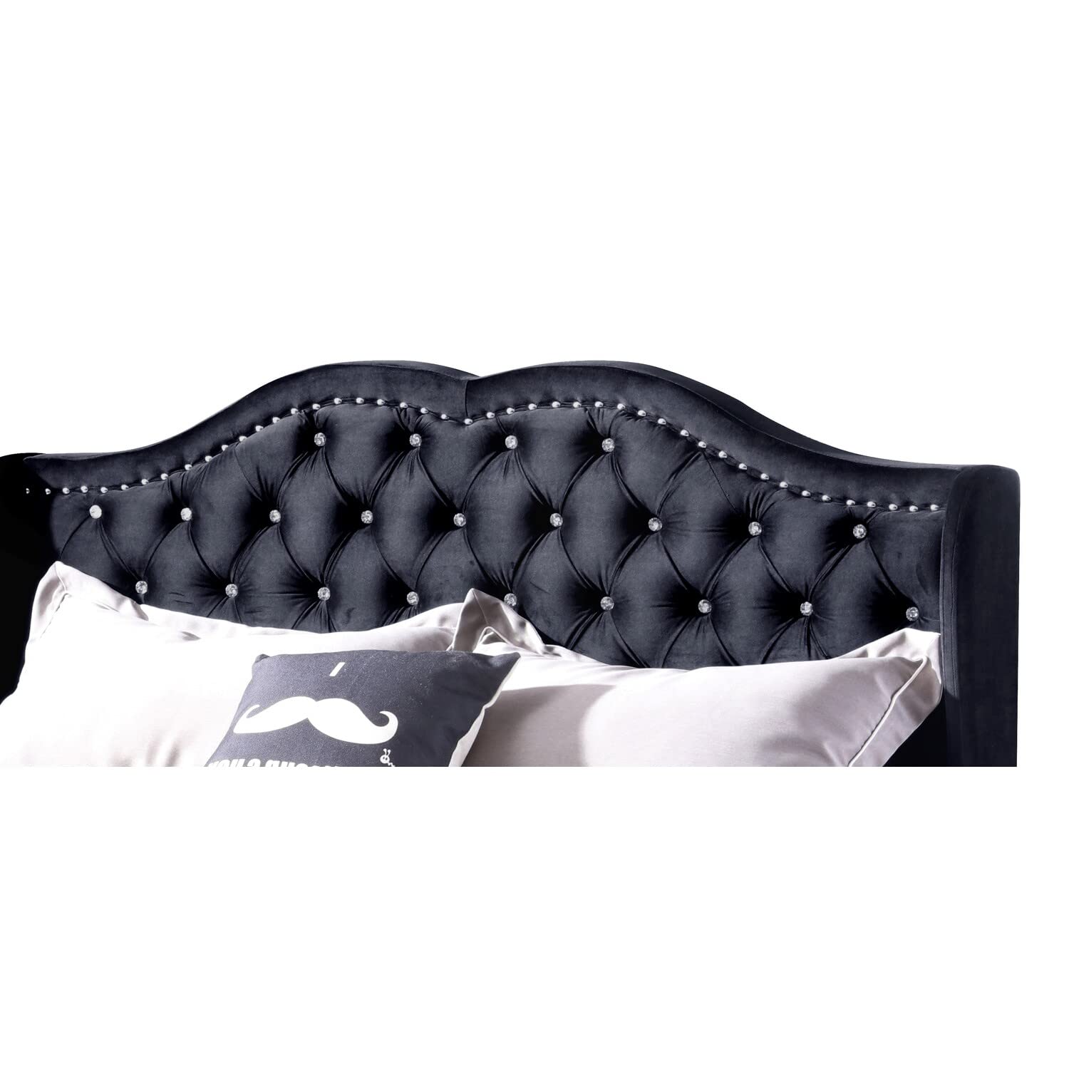 Glory Furniture Joy Velvet Upholstered Queen Bed in Black