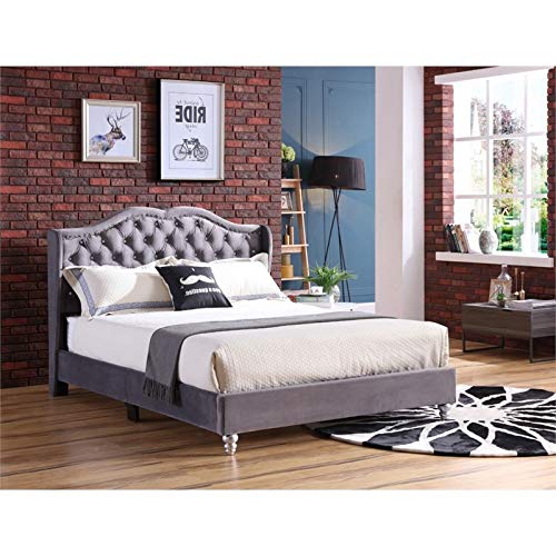 Glory Furniture Joy Velvet Upholstered Full Bed in Gray