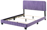 Glory Furniture Lodi , Purple QUEEN BED, 48"H X 65"W X 86"D,