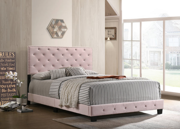 Glory Furniture Suffolk G1406-QB-UP Queen Bed , PINK