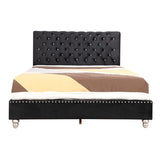 Glory Furniture Maxx Velvet Upholstered Queen Bed in Black