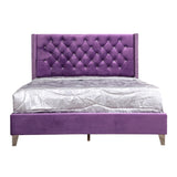 Glory Furniture Julie Velvet Upholstered Queen Bed in Purple
