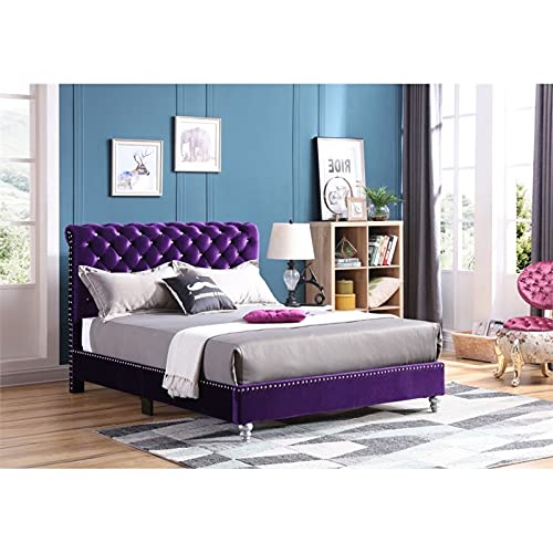Glory Furniture Maxx Velvet Upholstered Full Bed in Purple