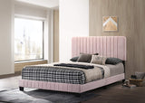 Glory Furniture Lodi , Pink QUEEN BED, 48"H X 65"W X 86"D,